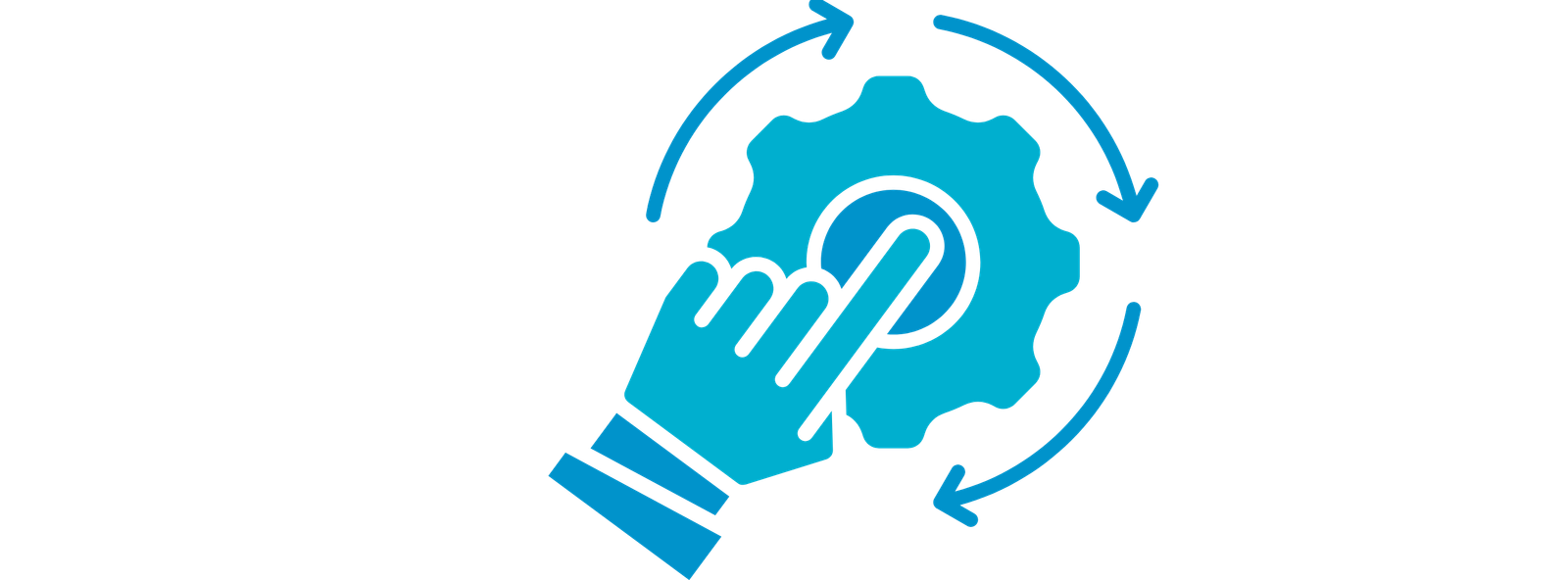 ERP Financial Management Systems for accounting, budgeting, forecasting, payroll, and reporting